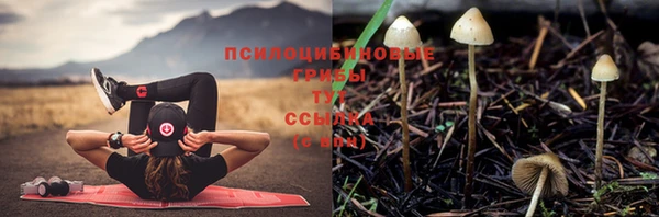 гашиш Майский