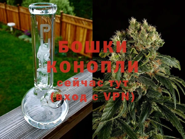 гашик Саки