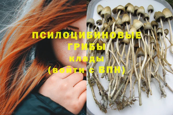бошки Магас