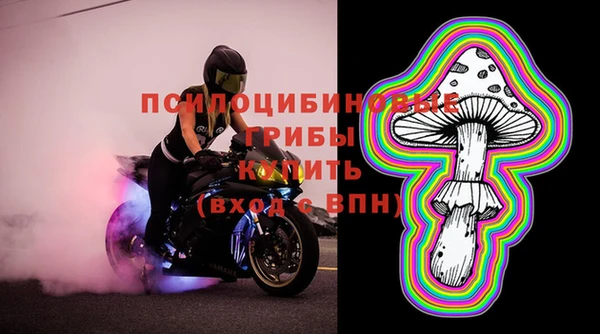 бошки Магас