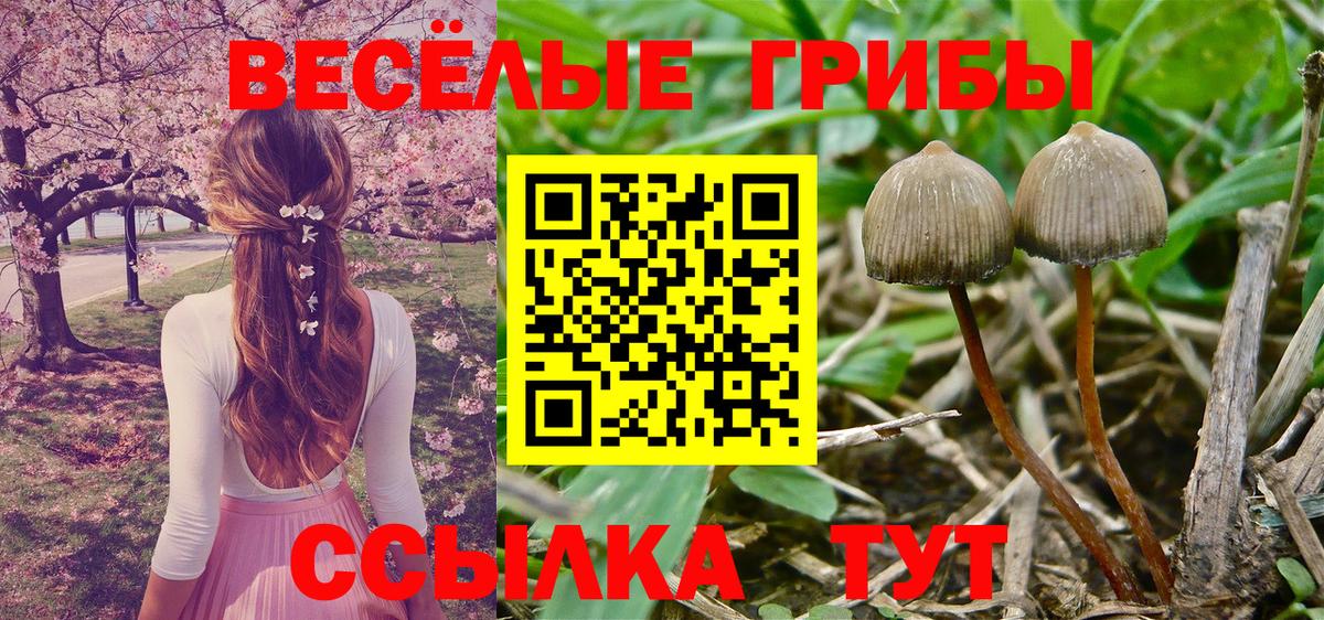 Галлюциногенные грибы Cubensis  купить наркоту  Углич  Вход с VPN 