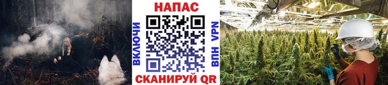 Бошки Шишки White Widow Углич